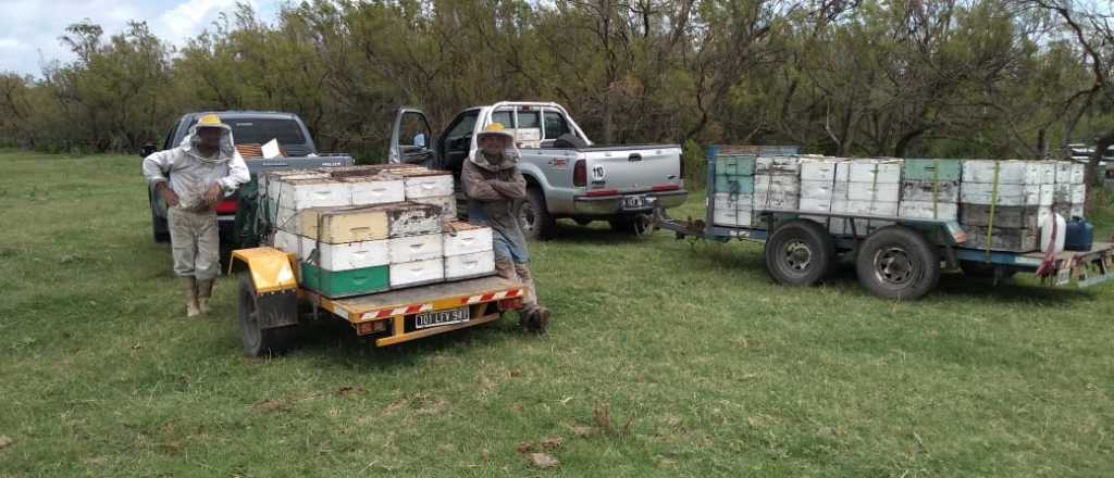 Un apicultor mendocino fue "cuarentenado" en un hotel 5 días, por error