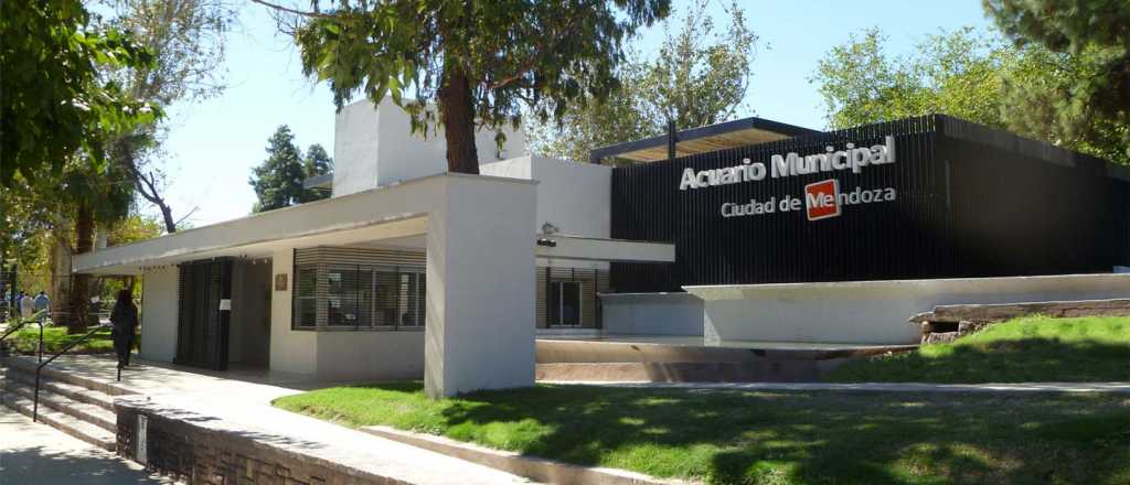 Ambientalistas quieren cerrar el acuario