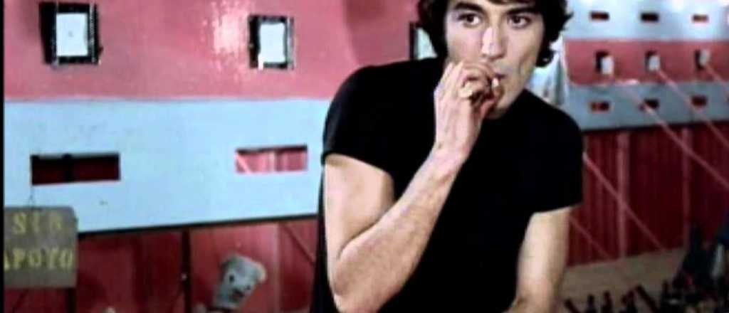 Una misteriosa flor blanca en la tumba de Sandro 