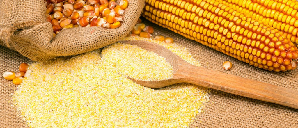 La Anmat prohibió la venta de una harina de maíz por ratas en la fábrica