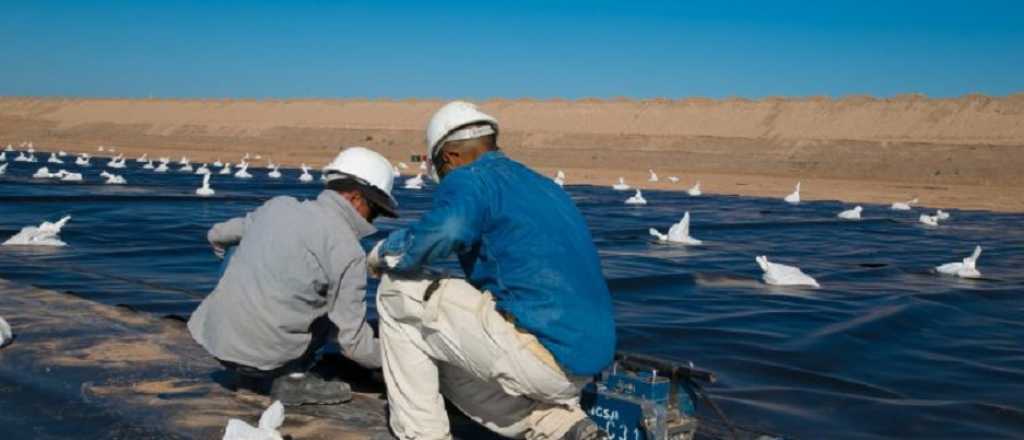 Aprovechando el bajo nivel de agua, roban la membrana de los reservorios