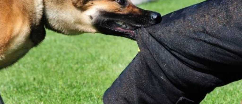 Una manada de perros atac&oacute; a un hombre en pleno centro de Tunuy&aacute;n