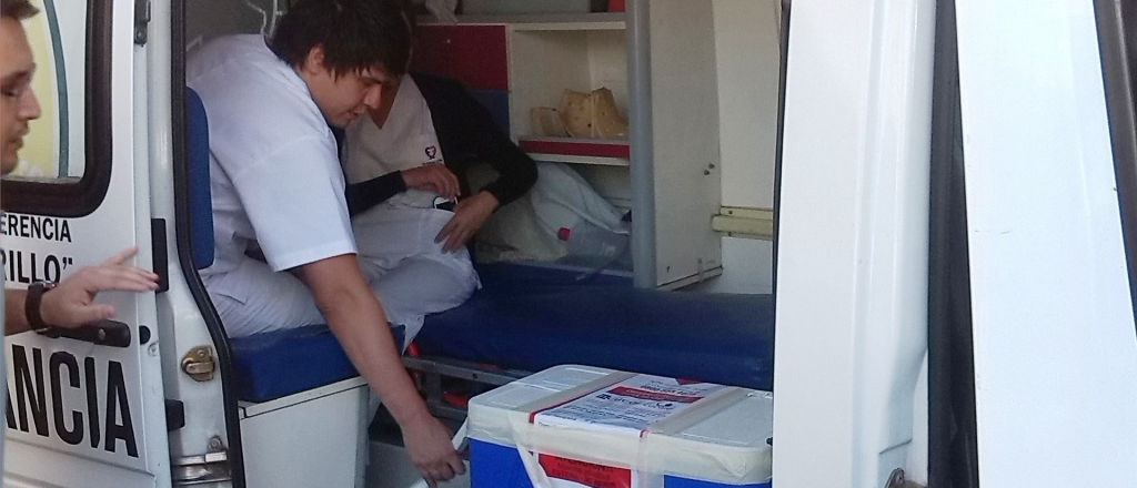 Novedosa donación de órganos en Mendoza