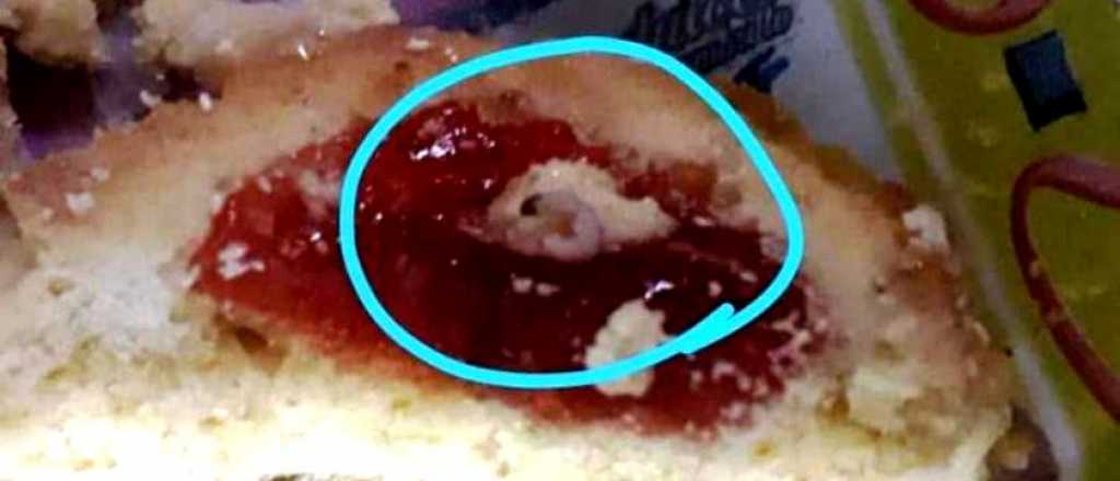 Una comuna repartió a escuelas unas galletas que tenían gusanos