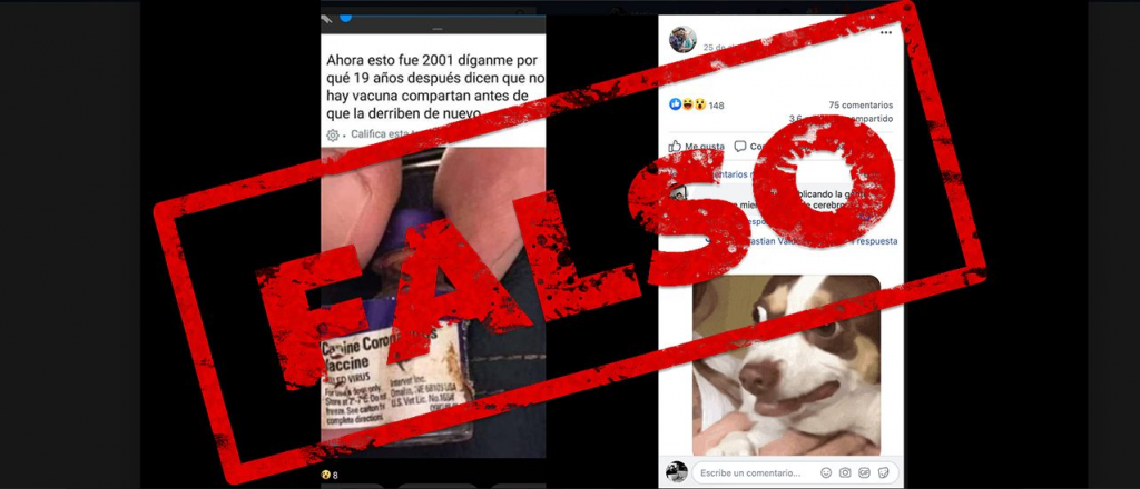 Es falso que la vacuna contra el nuevo coronavirus existe desde 2001