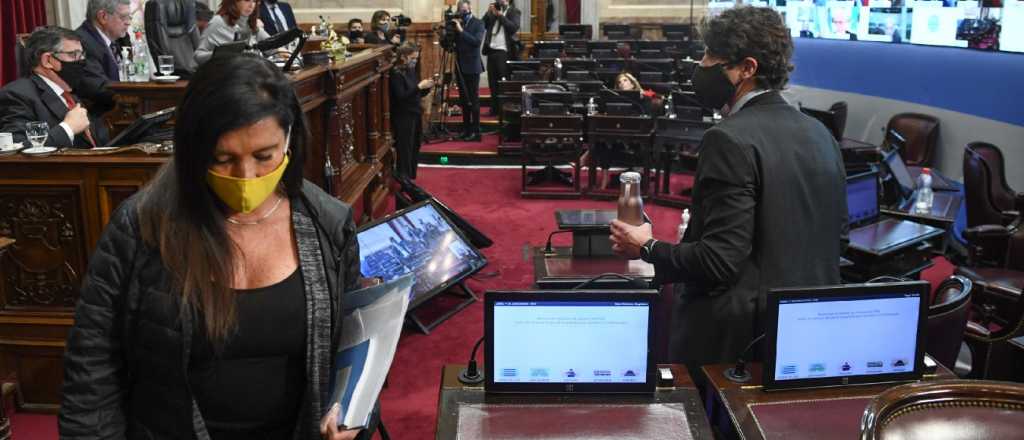 Opositores se retiraron del Senado tras la votar la Educaci&oacute;n a Distancia