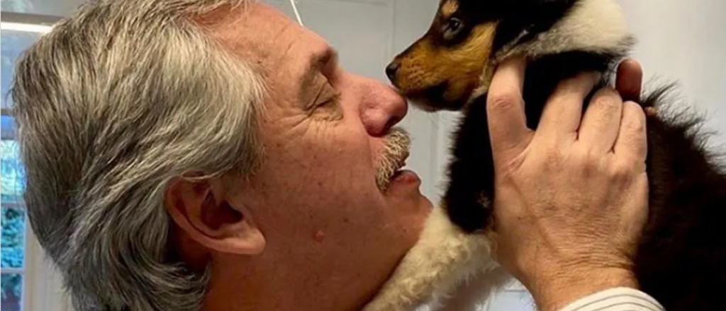 Alberto Fernández tiene una nueva perra y le hizo un Instagram