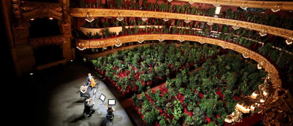 La Ópera de Barcelona abrió y su primer concierto en vivo fue para... plantas