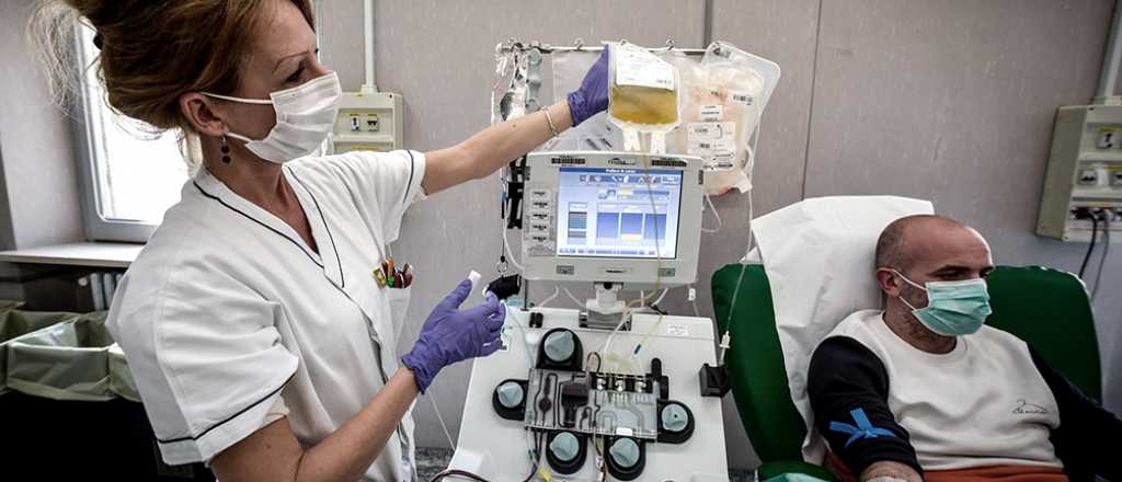 Diputados aprobó la creación de una campaña de Donación de Plasma