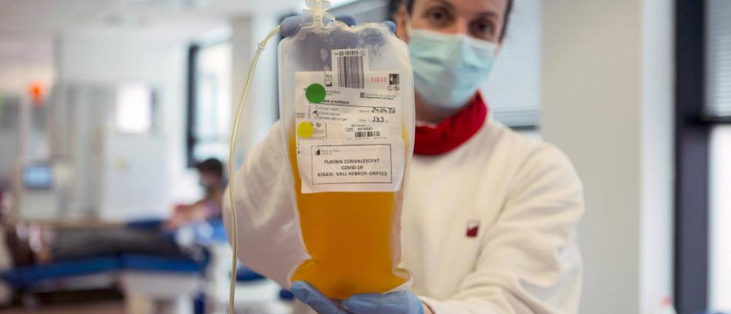 Donaron plasma en Mendoza 14 personas recuperadas de coronavirus