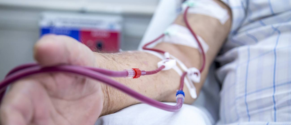 Donantes de plasma: piden viáticos para traerlos desde San Rafael