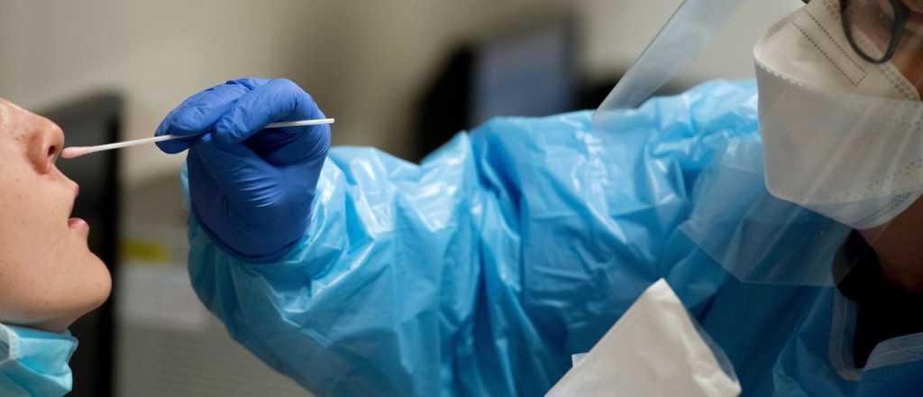Coronavirus en Mendoza: 604 nuevos pacientes y 11 muertos reportados