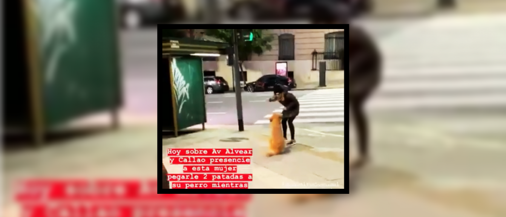 Video: escrachan a una mujer por golpear y patear a su perro en plena calle
