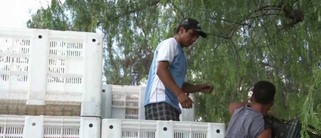 C&oacute;mo se contagi&oacute; el cl&uacute;ster de Remar, que present&oacute; 24 infectados en un d&iacute;a