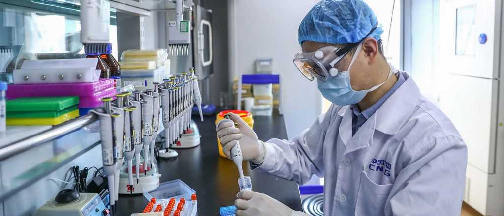 Oxford anunció que su vacuna genera anticuerpos