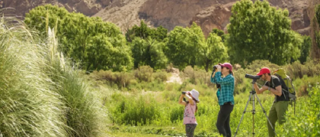 Imperdibles promos en el Hot Sale 2020 para aprovechar Mendoza