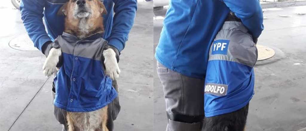 San Rafael: campa&ntilde;a para que le devuelvan la campera a "Rodolfo"