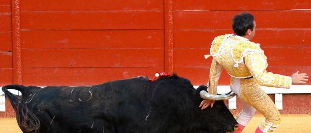 Video: torero español recibió una cornada en los glúteos que "lo hizo volar"