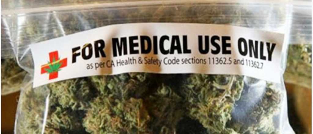Mendoza planea hacer su propio aceite de cannabis y ampliar el uso medicinal 