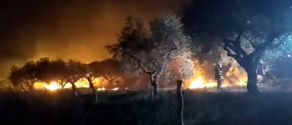 Dos incendios se registraron en Rivadavia