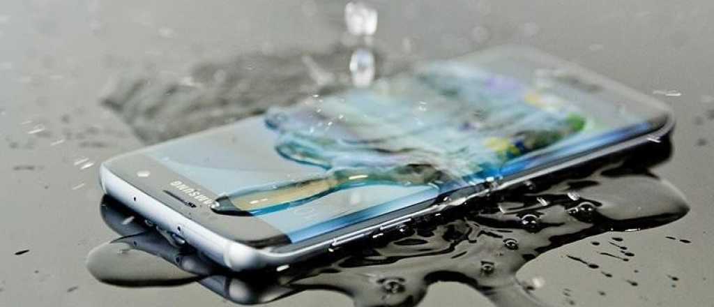 ¿Se te mojó el celular? acá tenés tres técnicas que te salvarán