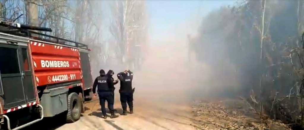 Video: impresionante incendio en Rivadavia durante este viernes