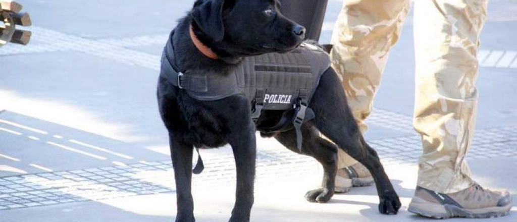 El vecino de un jard&iacute;n maternal de Guaymall&eacute;n desvalij&oacute; el lugar 