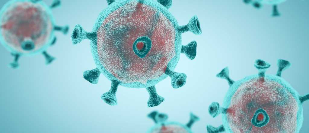Se ven señales de inmunidad en los infectados por Covid-19