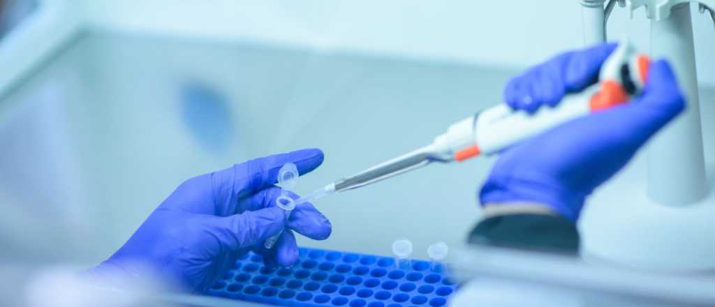 Un test de sangre podr&iacute;a prever si alguien estar&aacute; muy grave 