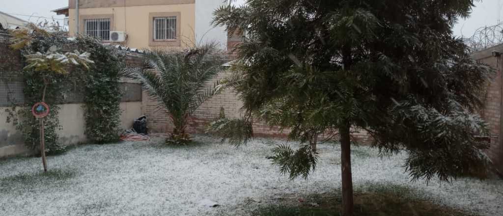 El tiempo en Mendoza: pronostican nevadas en el llano para mañana