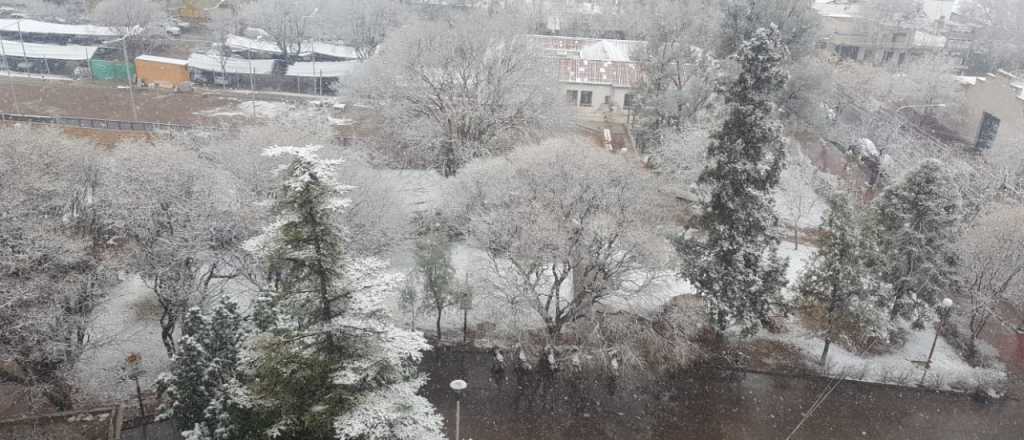 Fotos y videos: así nieva en San Rafael