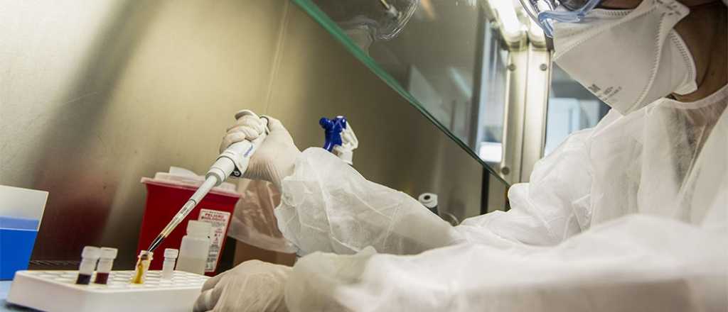 Confirmaron que la nueva cepa de Covid lleg&oacute; a la Argentina