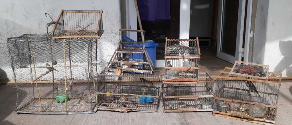 Recuperaron aves robadas y droga en Rivadavia