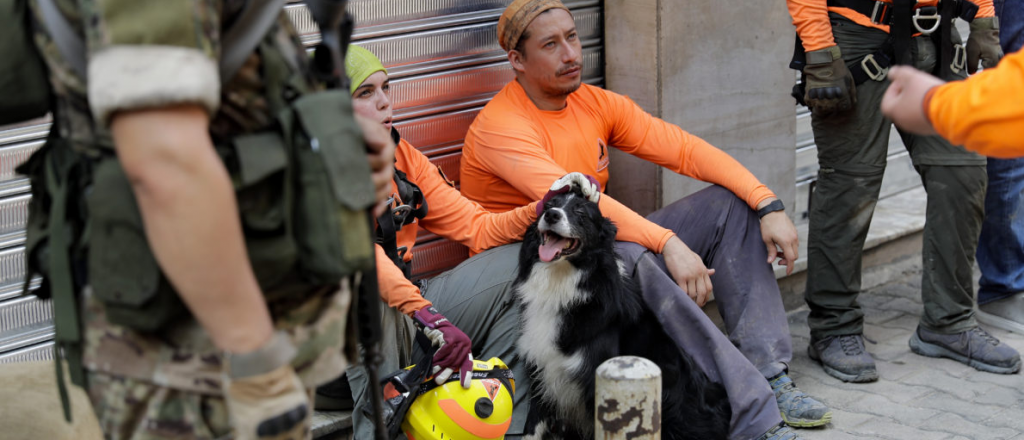 Perros rescatistas detectan latidos bajo los escombros de Beirut