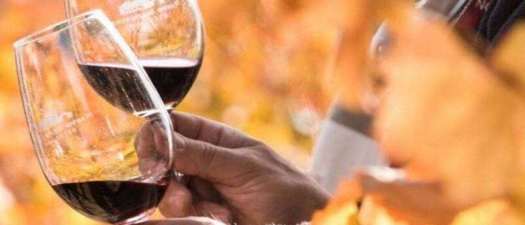 Efecto pandemia: el consumo de vino tuvo la mayor suba en 7 años en el país