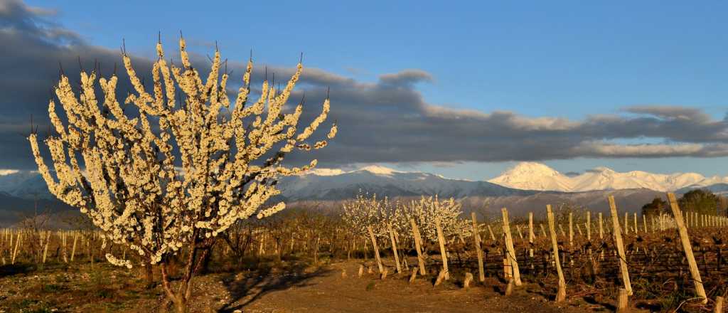 El tiempo en Mendoza: se viene un fin de semana primaveral 