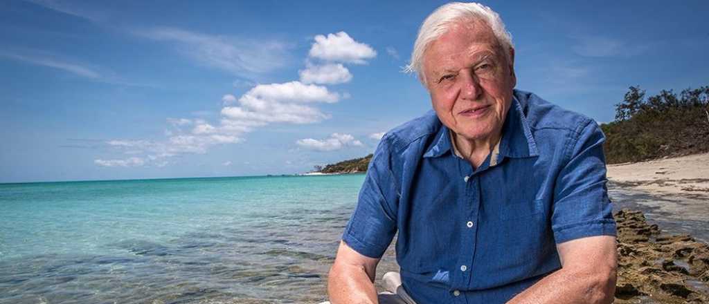 Cient&iacute;fico asegura que la Tierra se enfrenta "a la posibilidad de una extinci&oacute;n"