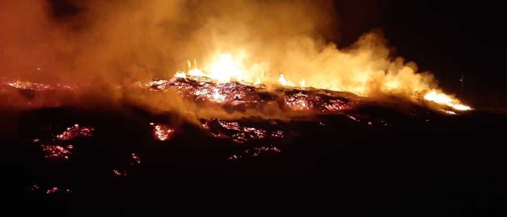 Se incendió una fábrica de conservas en Luján