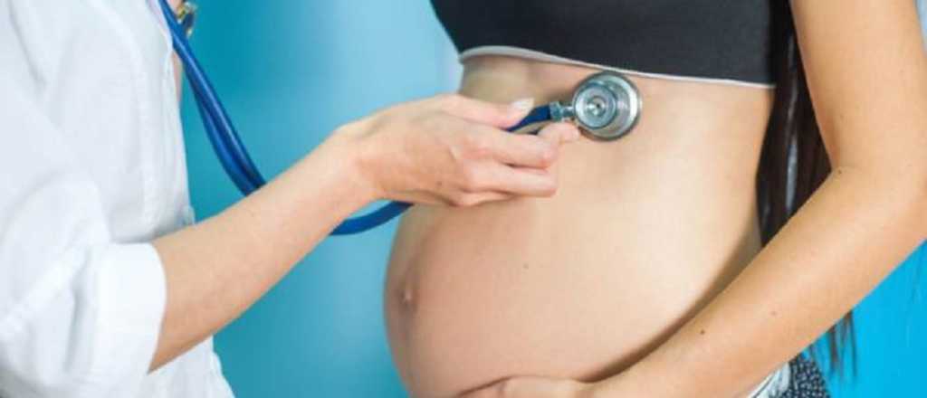 Hallan el reloj que determina la duraci&oacute;n del embarazo