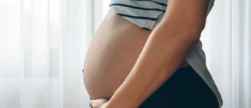 Más de 2,2 millones de Asignación por Embarazo fueron otorgadas en 12 años