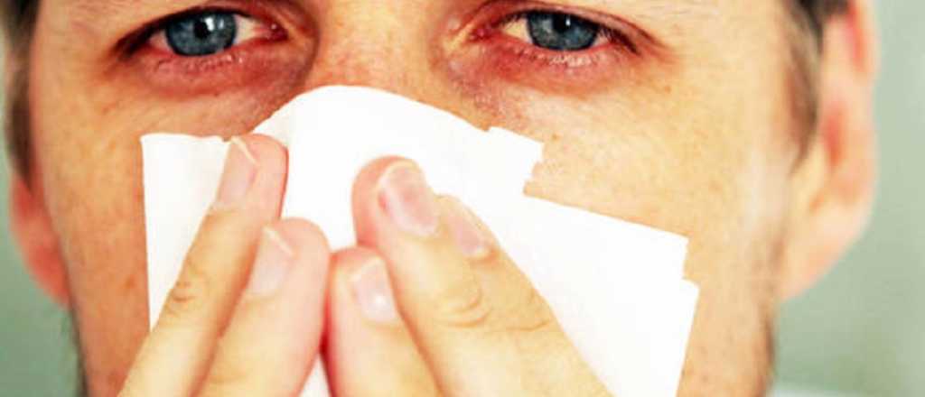 La primavera y las alergias: ¿Cómo prevenirlas?