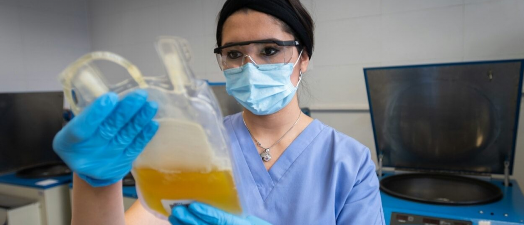 Cómo donar plasma: 310 mendocinos ya lo hicieron