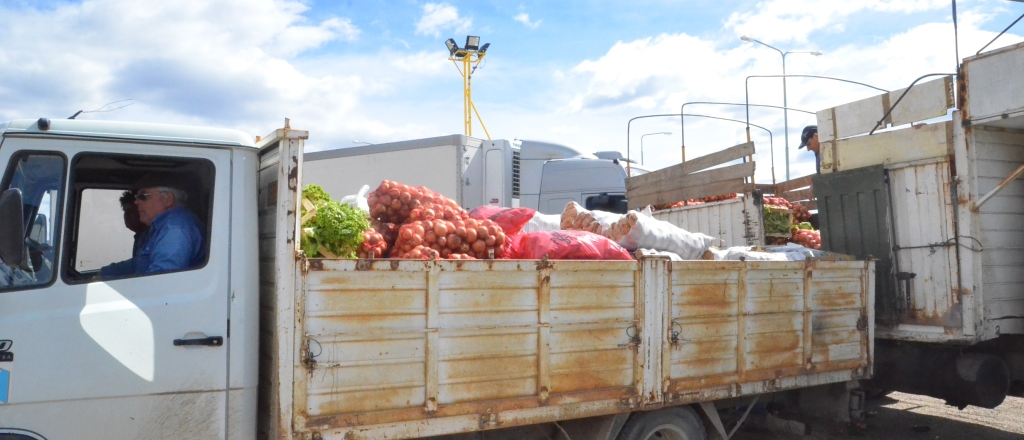 Coninagro afirma el transporte de alimentos en el país está complicado