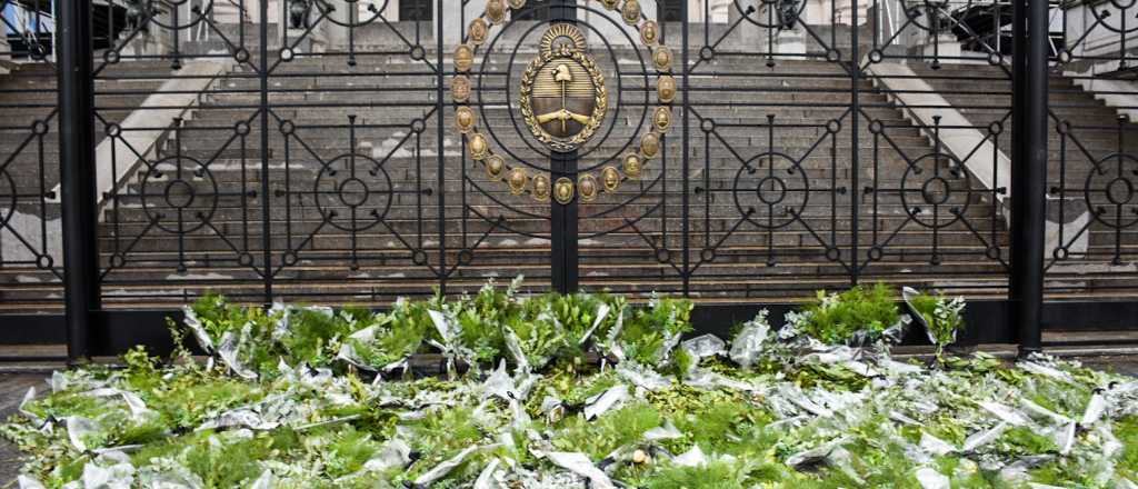 Amnist&iacute;a reclam&oacute; por el aborto legal con ramos de perejil en el Congreso