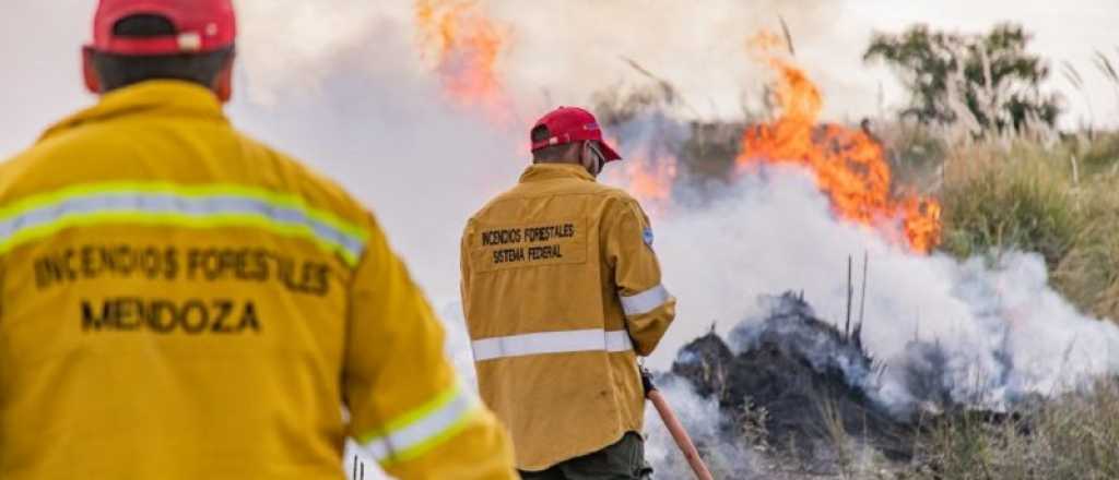 Alerta de Defensa Civil por posibles incendios por el Zonda