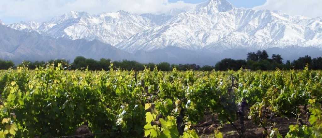 Encuentro de innovación y vitivinicultura en Mendoza