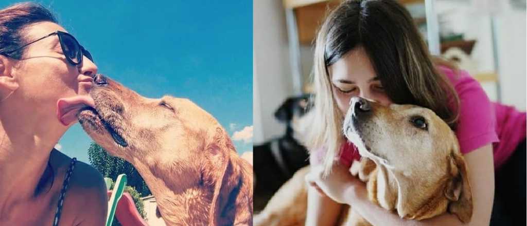 El dolor de Eleonora Wexler al despedir a su perra Ámbar