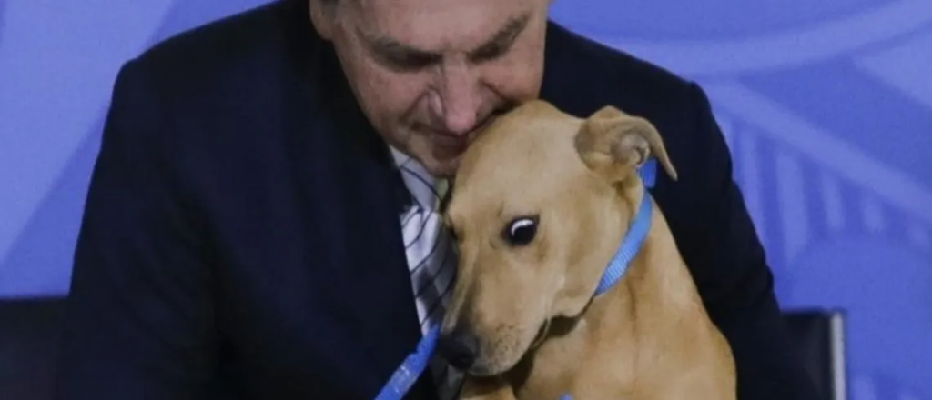 Bolsonaro hizo que un perro "firmara" una ley contra el maltrato animal  