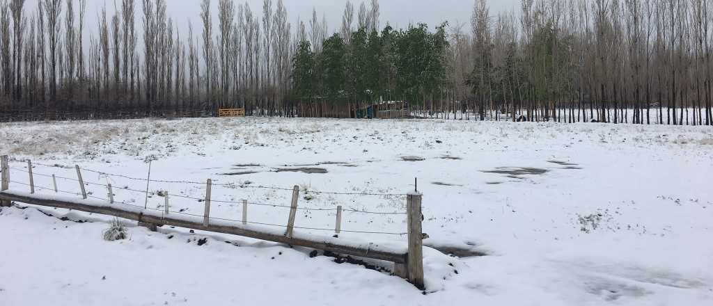 Postales de la nieve primaveral en Mendoza