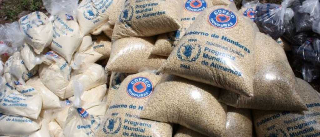 &iquest;C&oacute;mo funciona el Programa de Alimentos que es Nobel de Paz?